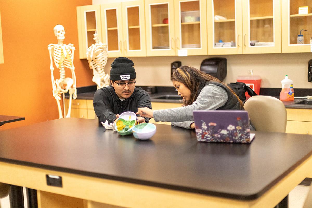 在人体解剖学课堂上，学生在课堂实验中复习解剖模型.